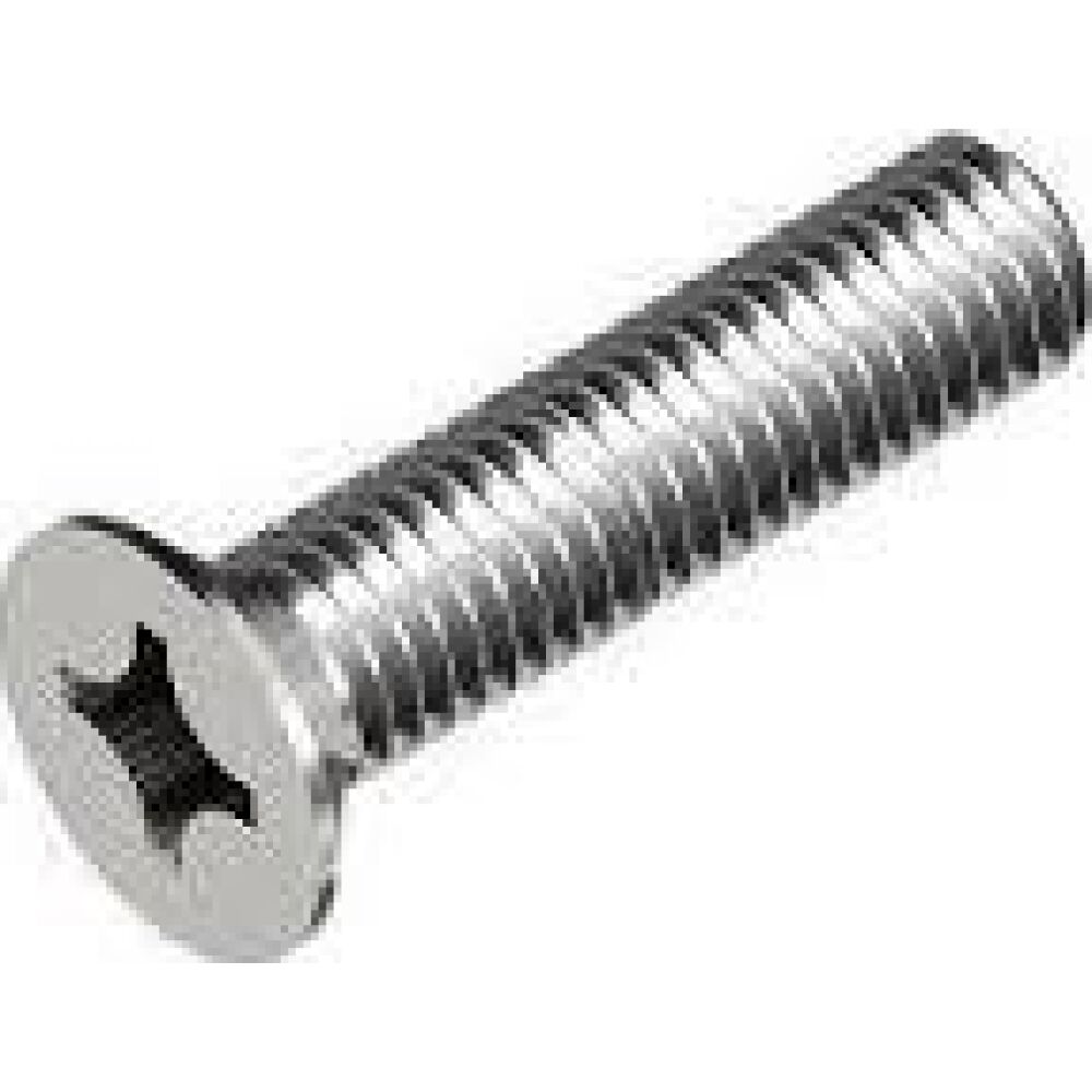 S.S. Countersunk Flat Head Screw With Cross Head 8x70 A4