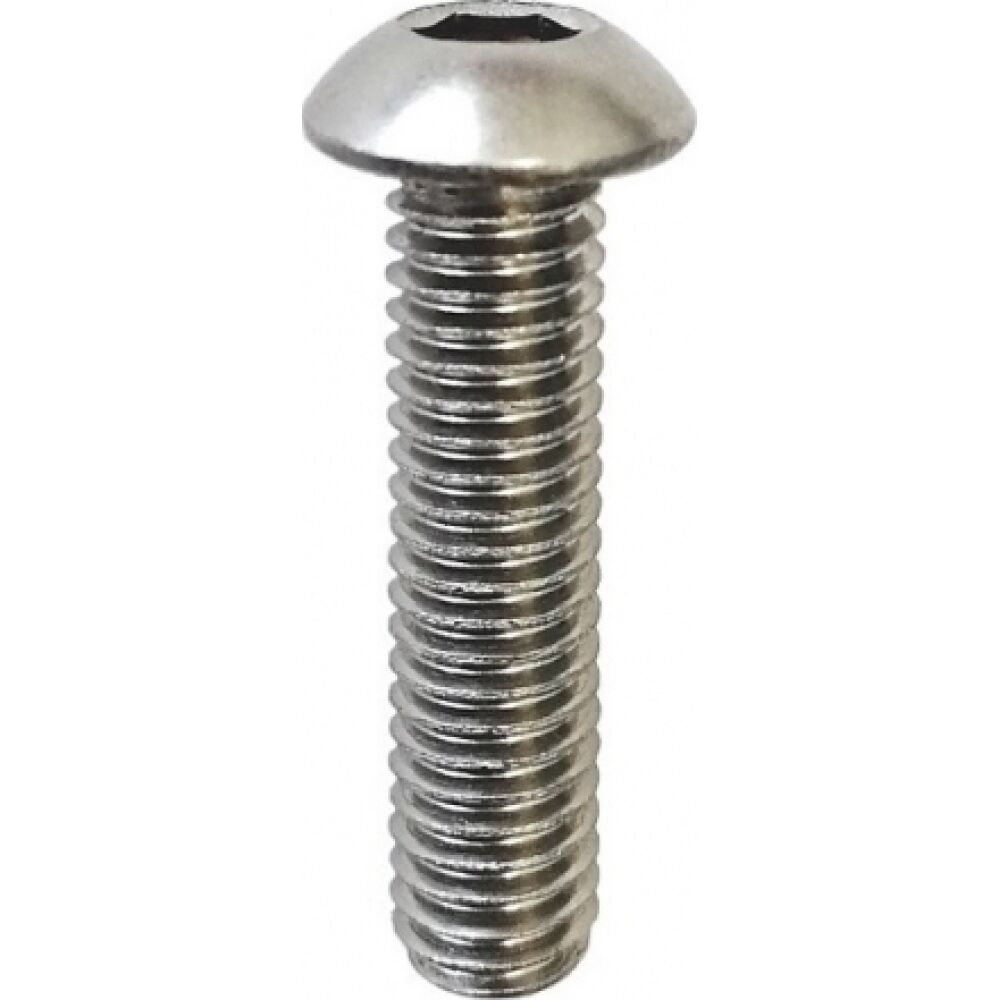 S.S. Socket Head Button Screws 6x30 A4