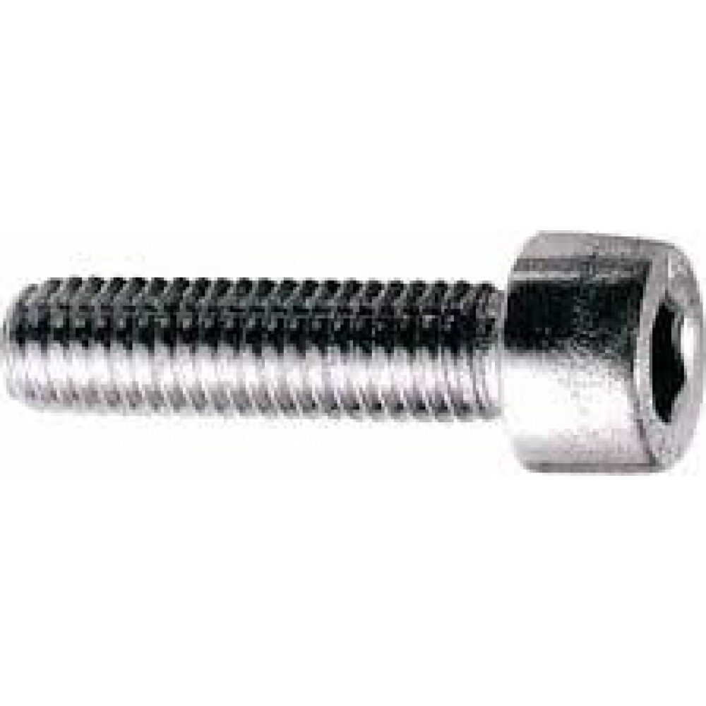 S.S. Socket Head Cap Screw 4x10 A4