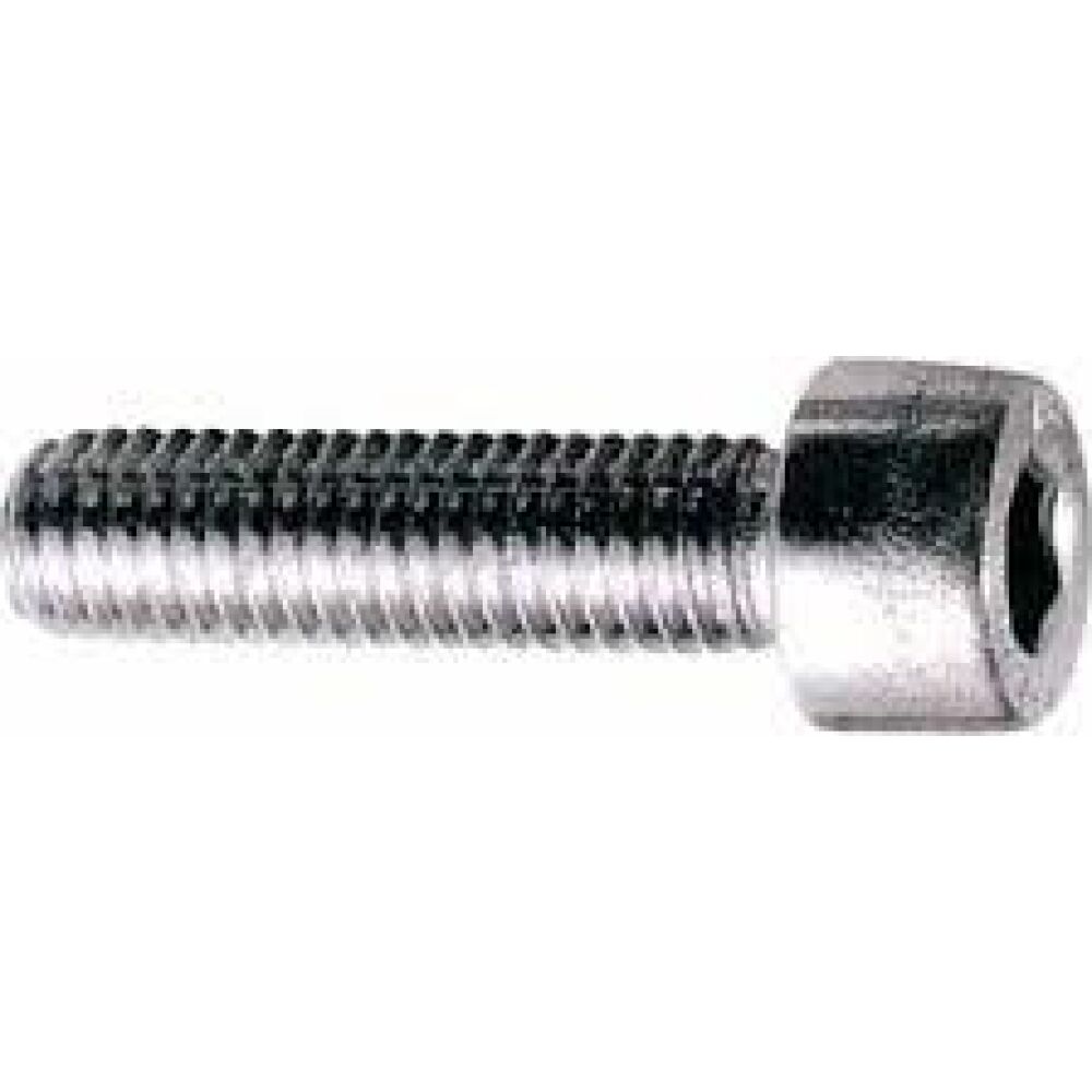 S.S. Socket Head Cap Screw 5x50 A4