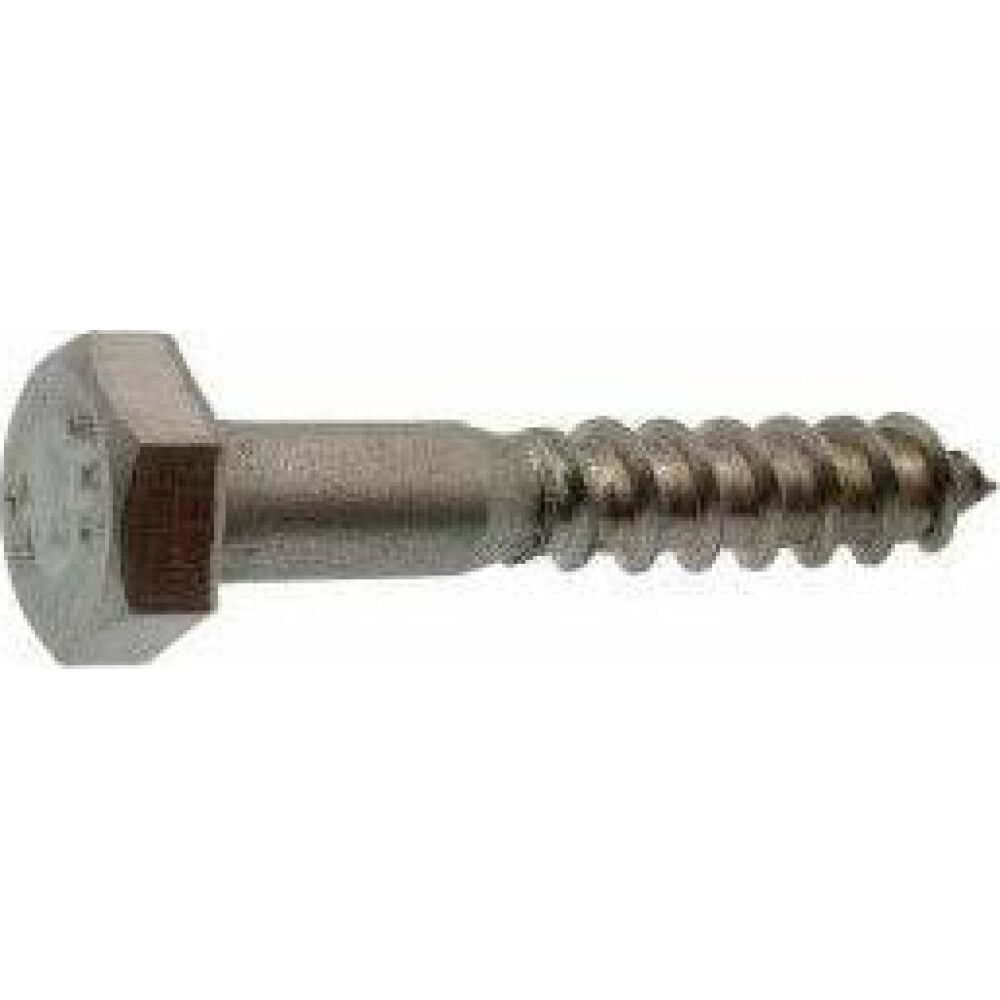 S.S. Coach Screws Hex Head 6x80 A4