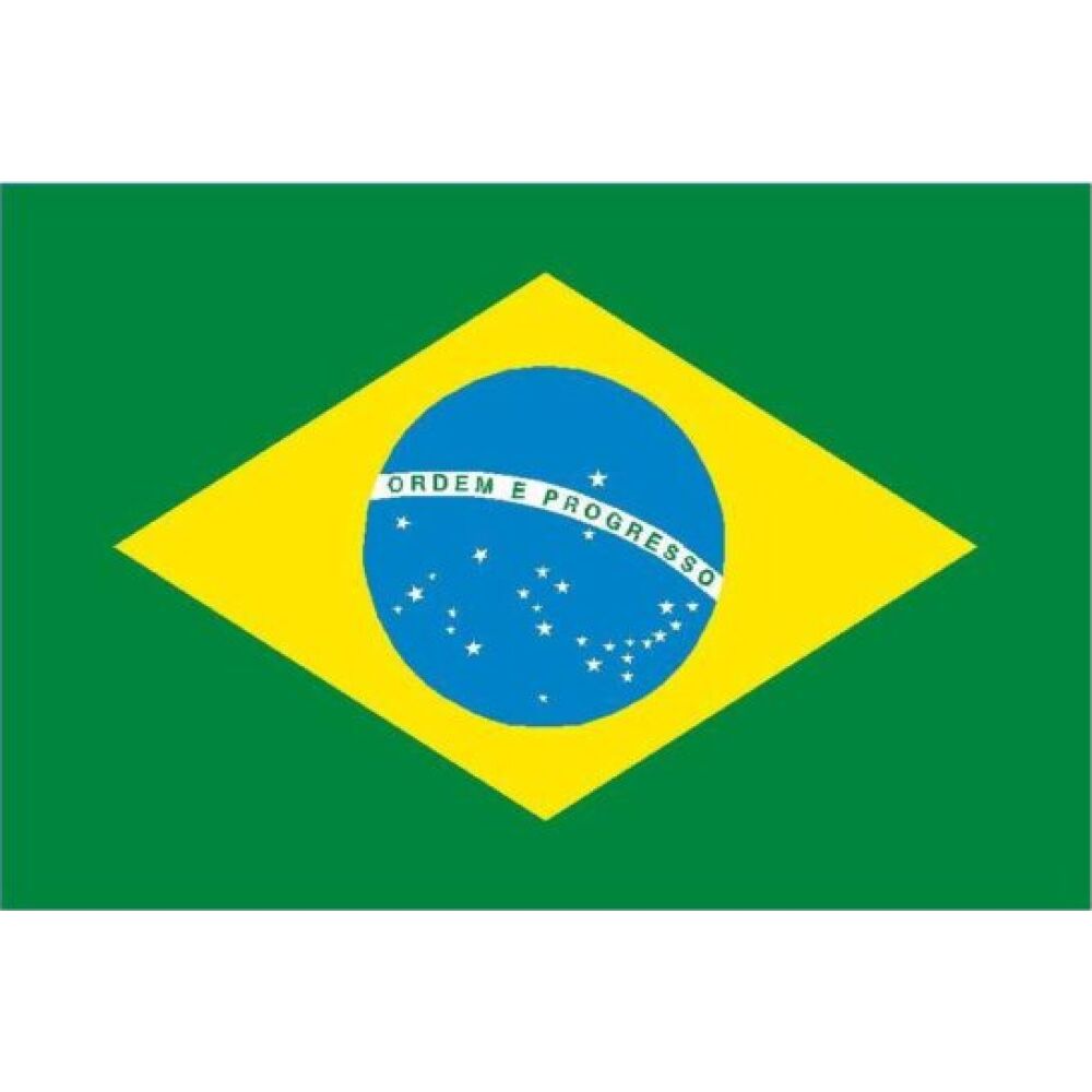 Brazil Flag 40x60