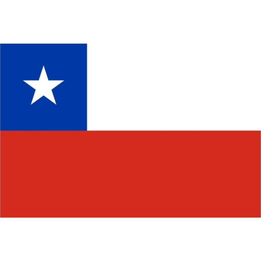 Chile Flag 40x60