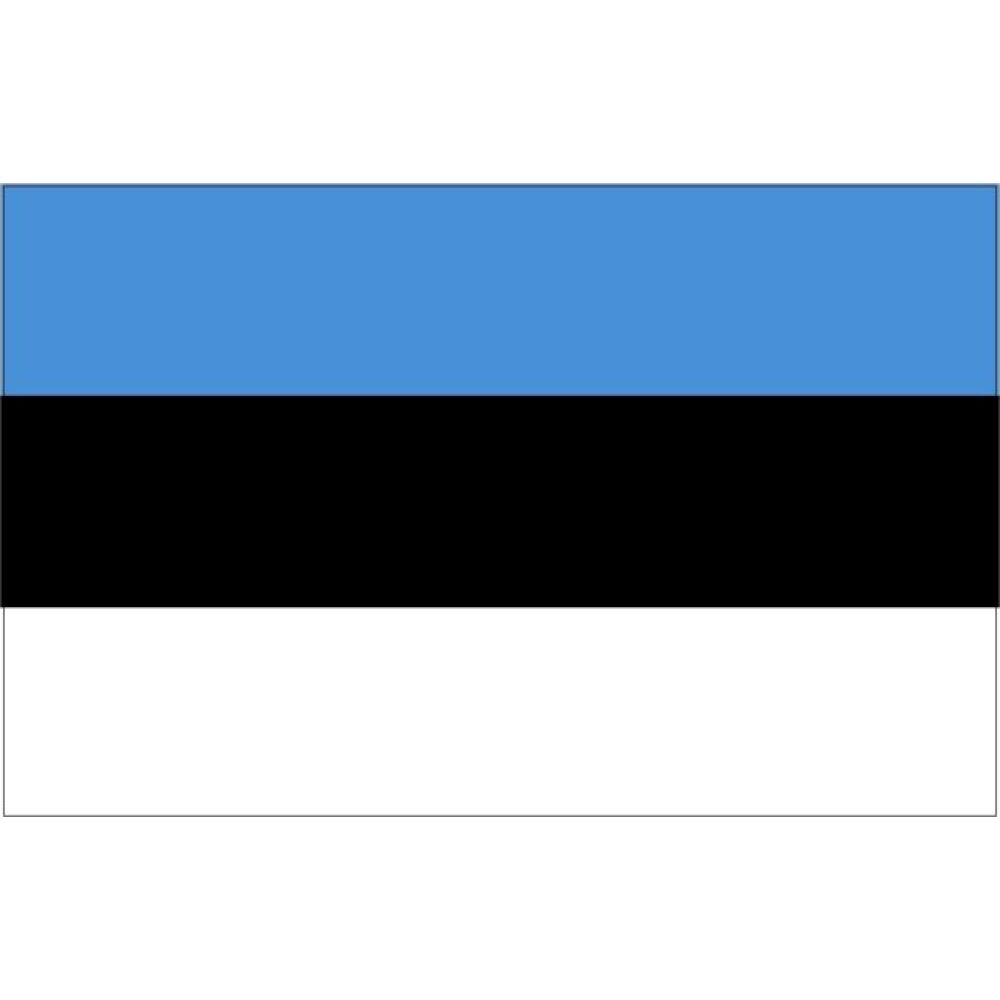 Estonia Flag 30x45