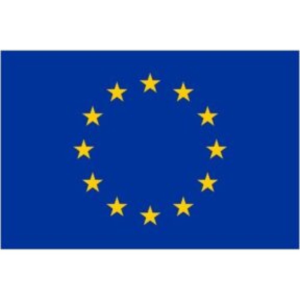 Europe Flag 100x150