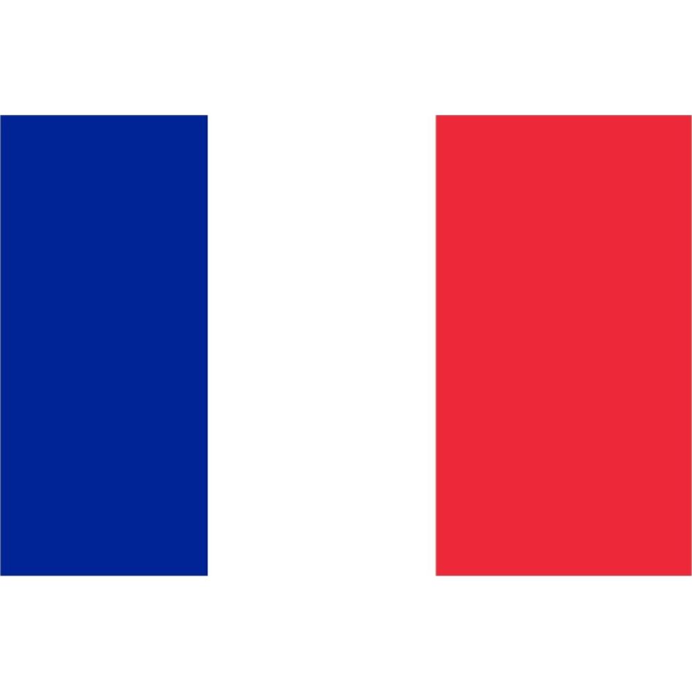 France Flag 40x60