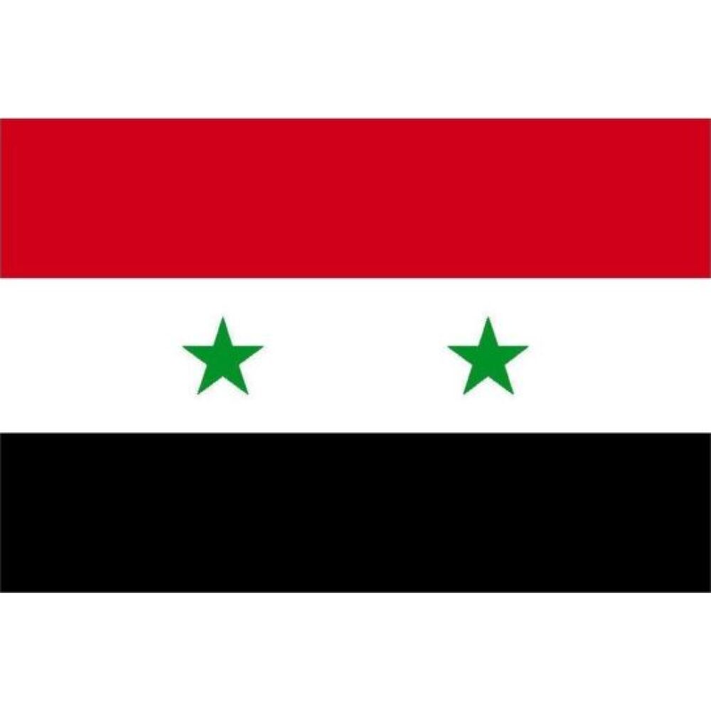 Syria Flag 30x45