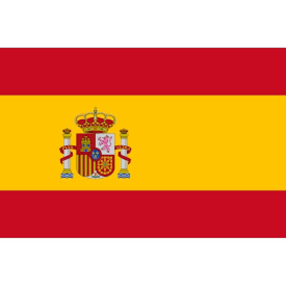 Spain Flag 40x60