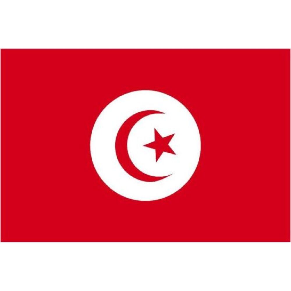 Tunisia Flag 20x30