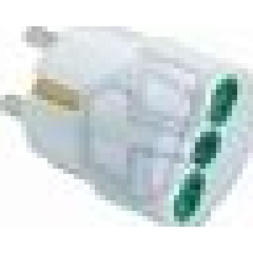 FANTON 81090 PLUG  16 A SHUCKO
