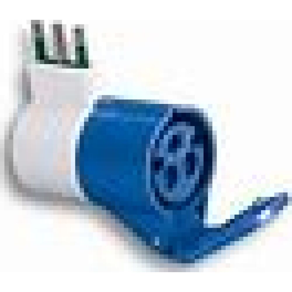 FANTON 73000 PLUG IP20 2P+T 16A 220V