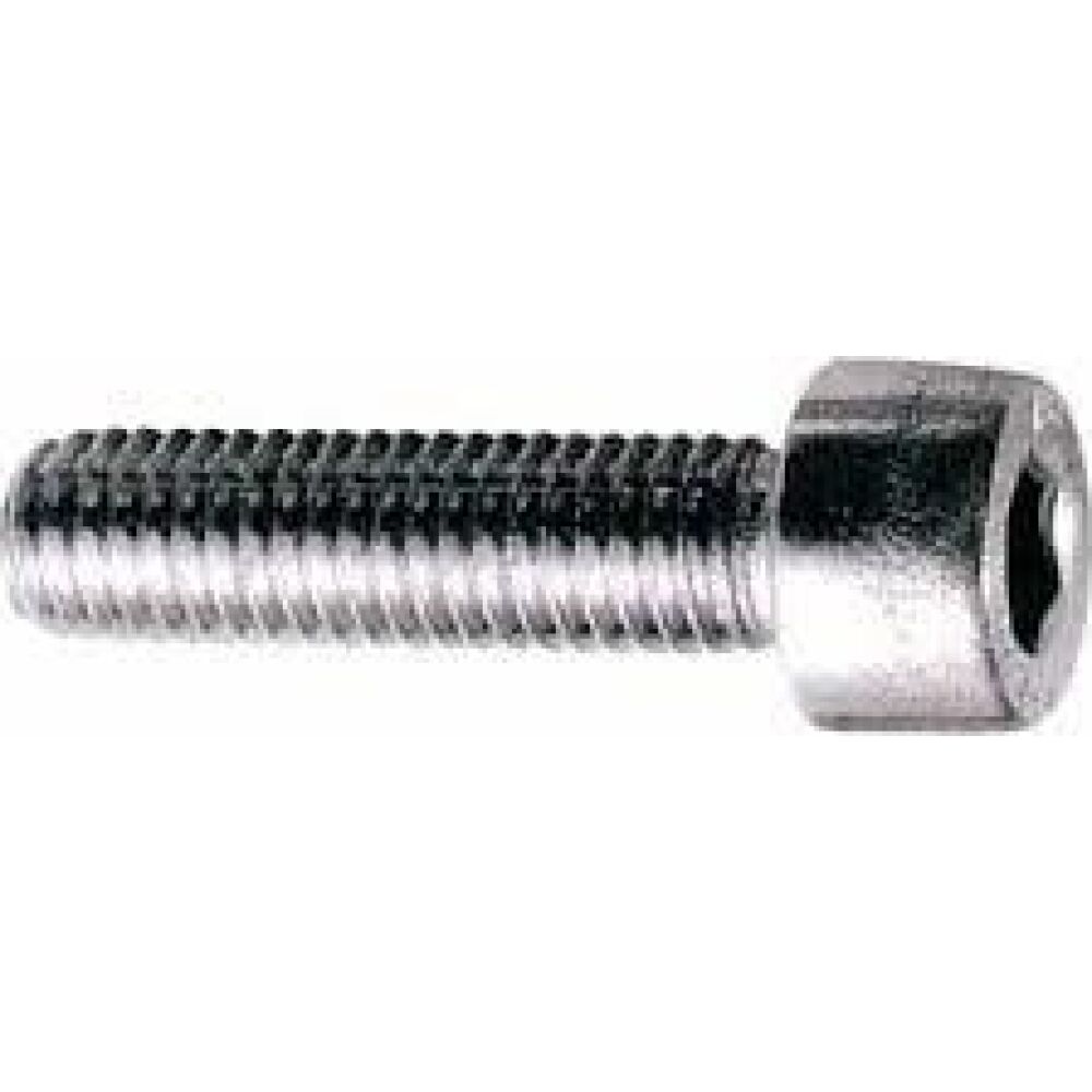 VITE TCCE 4X10 INOX A4